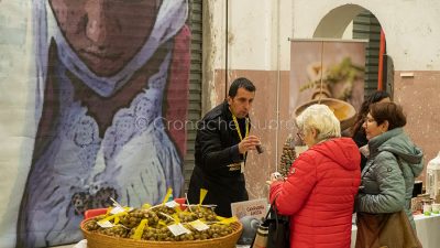 Manifestazione espositiva all'Ex-Artiglieria (foto S.Novellu)