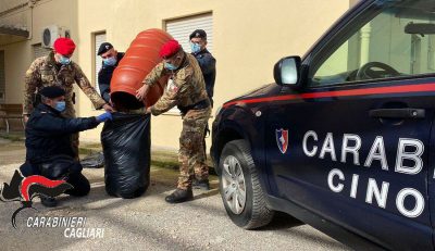 Una parte della droga sequestrata a Serramanna