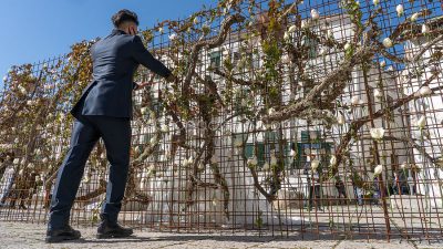 Uniti per il wedding (foto S.Novellu)