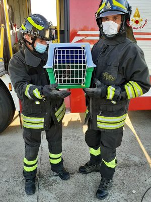 I Vigili del fuoco con il volatile appena liberato