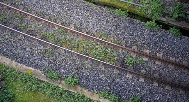 I binari a scartamento ridotto della Nuoro Macomer (foto S.Novellu)