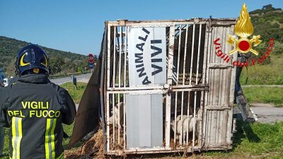 Il camion coinvolto nell'incidente sulla SS 129