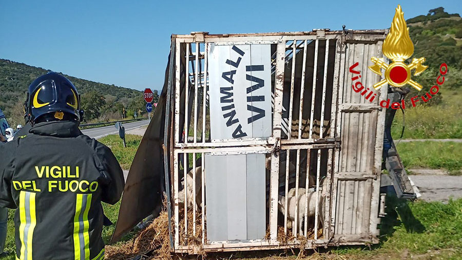 Violento scontro in rettilineo tra un camion e un’auto sulla SS 129, poco prima della “curva della morte”