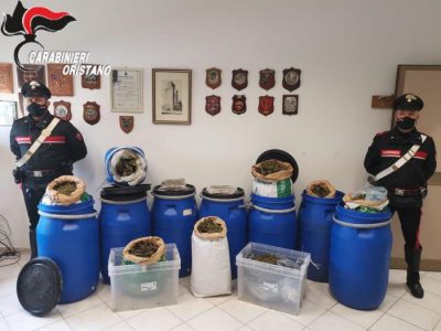 La droga sequestrata a Solarussa