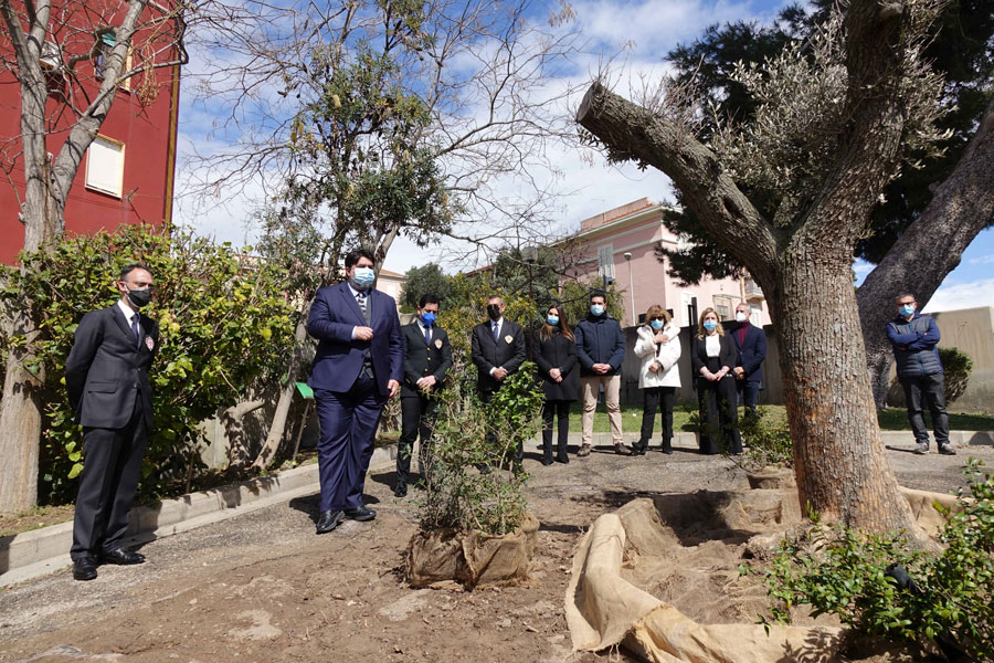 Un ulivo piantato in onore delle vittime del Covid. Solinas: “ancora una ferita aperta”