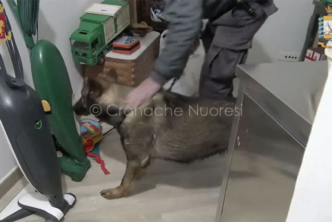 Un momento del blitz