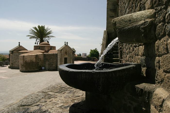 Nuova intimidazione al sindaco di Bonarcado: viscere animali appese al cancello del suo uliveto