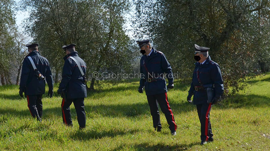 Spara e ferisce un pastore: con le sue pecore aveva attraversato un suo terreno