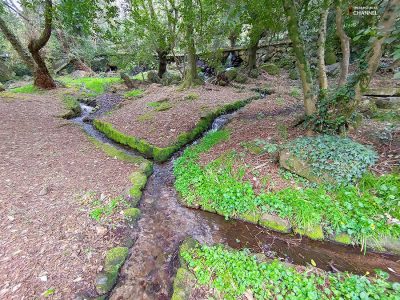 Il parco di San Leonardo di Siete Fuentes