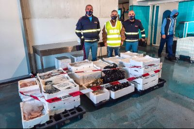 Il pesce confiscato sulla 131DCN