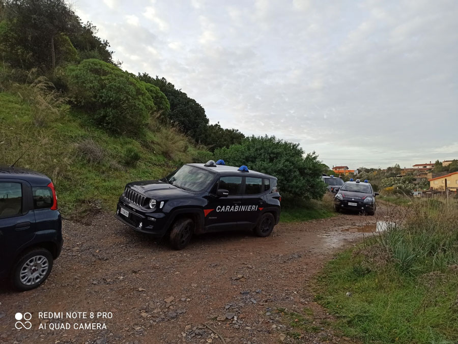 Lite in campagna: allevatrice 35enne prende a roncolate il rivale 61enne