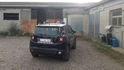 Il capannone in cui è avvenuto l'incidente
