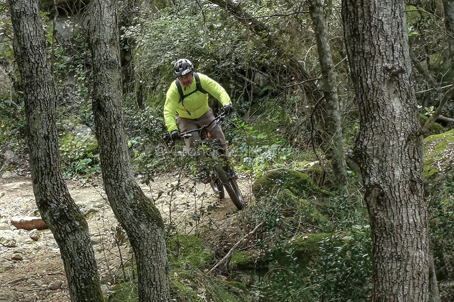 Comitato Ortobene Ultima Spiaggia: raccolte oltre 1000 firme per dire no al senso unico  della discordia