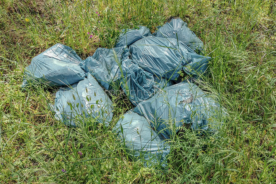 Nuoro. 14mila euro di multa a 24 incivili: abbandonavano sacchetti di rifiuti in strada e campagna