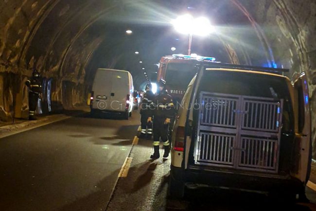 Una delle auto coinvolte nell'incidente alla galleria di Prato Sardo