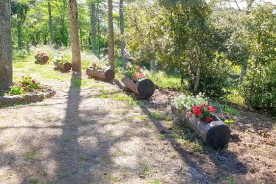 Le fioriere allestite al Monte Ortobene