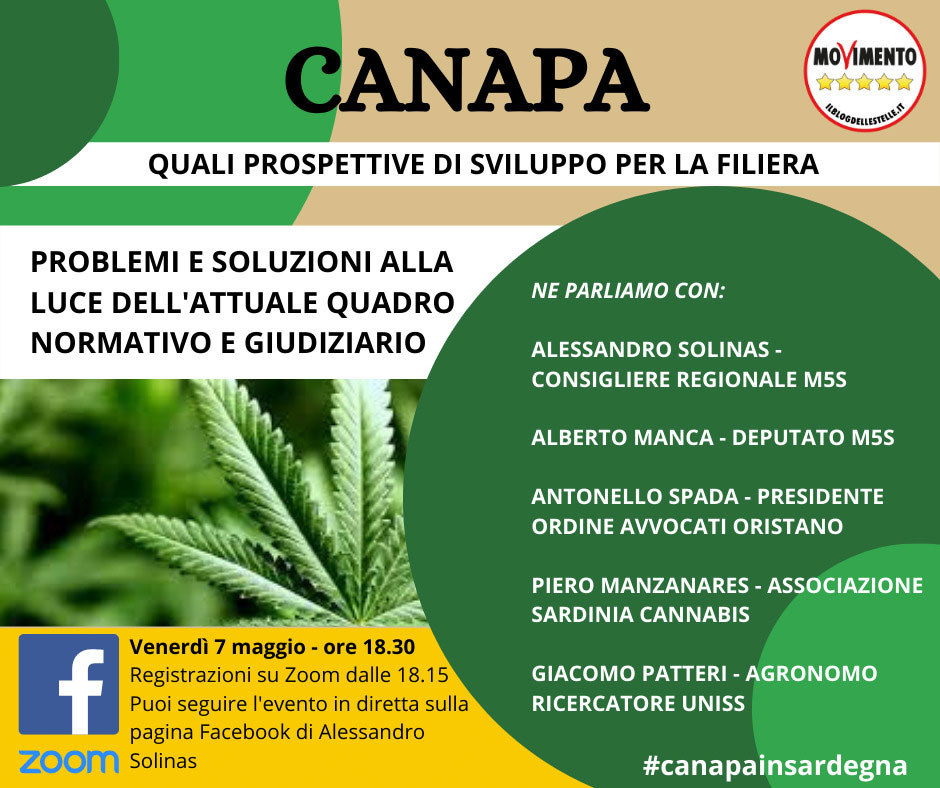“Canapa, quali prospettive di sviluppo per la filiera?”: se ne parla nel webinar organizzato dal M5S