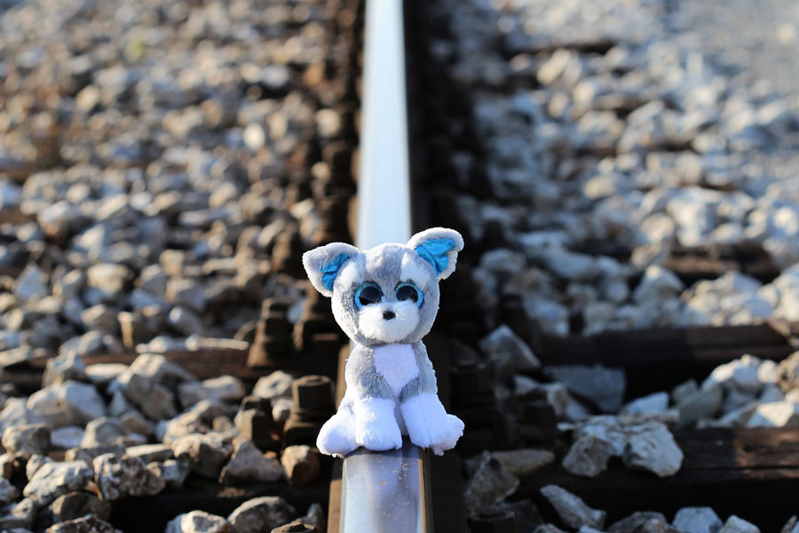 Pedopornografia: 54enne di Guspini in manette:  1200 tra  video e foto