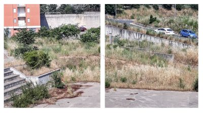 Due immagini delle sterpaglie che infestano le palazzine AREA