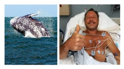 Il pescatore inghiottito dalla balena