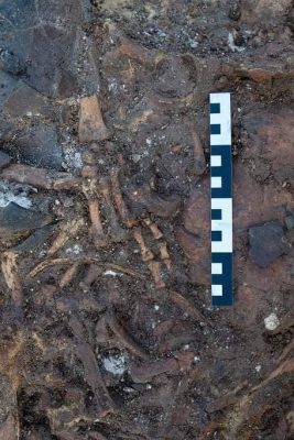 Resti umani nella tomba preistorica rinvenuta a Samassi