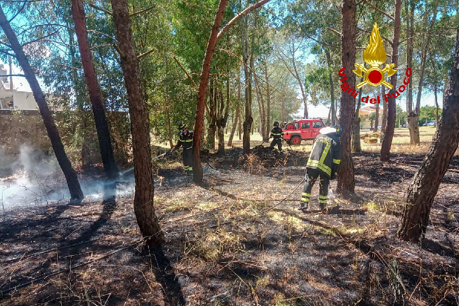 Paura a Sedilo: le fiamme lambiscono il cimitero