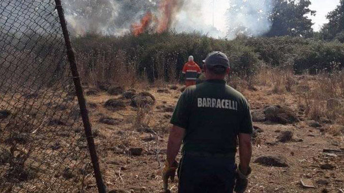 Sardegna assediata dal fuoco nel fine settimana: 50 i roghi appiccati