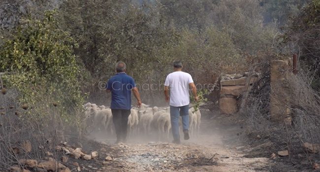 Incendio a Scano Montiferro (foto S.Novellu