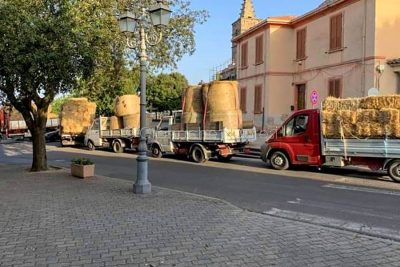 L'arrivo del fieno a Scano (foto Fenu)