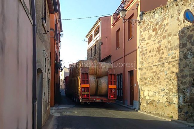 L'arrivo del fieno a Scano (foto Manca)