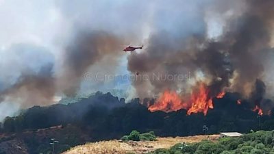 Le fiamme alla periferia di Santu Lussurgiu