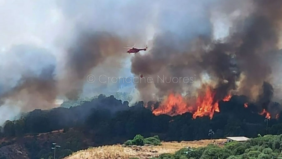 Il Montiferru in fiamme: paura a Santu Lussurgiu, Cuglieri e Scano – IL VIDEO