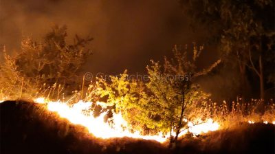 Le fiamme ardono nella notte (foto S.Novellu)