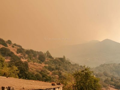Incendio nel monti tra Scano, Cuglieri e Santu Lussurgiu (foto S.Novellu) 