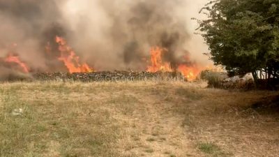 Macomer. A fuoco il parco di via Sicilia