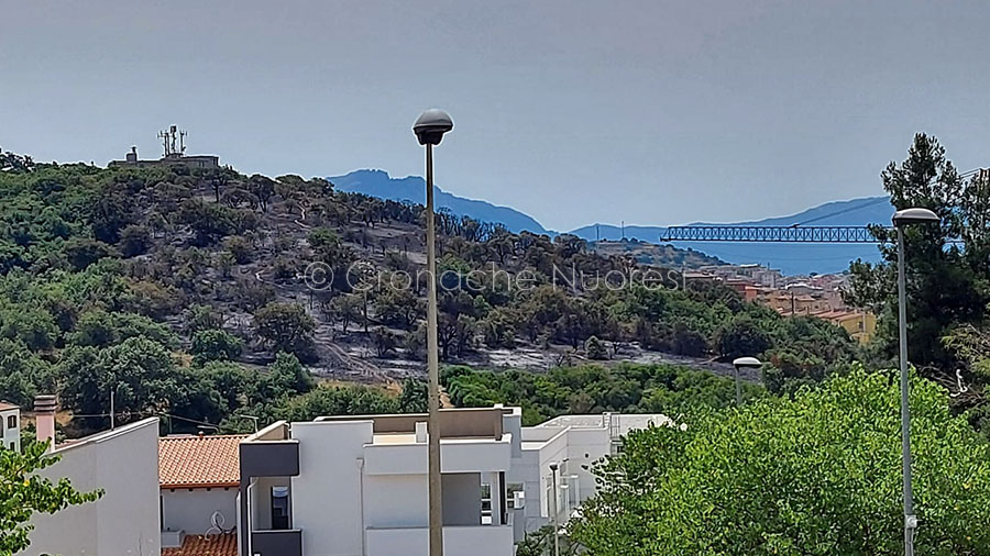 Un bengala dopo gli Europei e va a fuoco la collina di Monte Gurtei