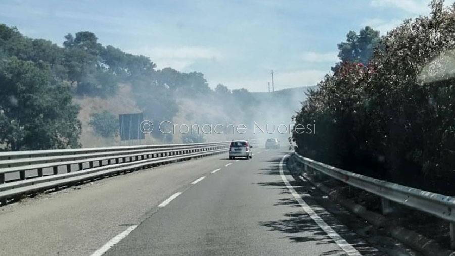 Nuoro lambita dalle fiamme: almeno 10 ettari in cenere, riaperta la Statale