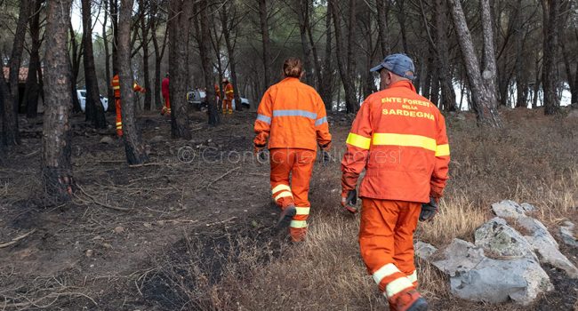 Scano Montiferro, i danni dell'incendio (© foto S.Novellu)
