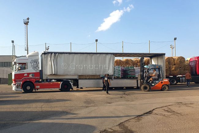 Tir carico di mangime e foraggio donato a Scano (foto Pirinu)