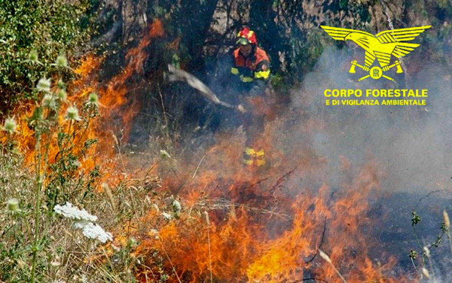 Inferno di Fuoco in Sardegna: elicotteri e Canadair intervengono a Ghilarza e chiude la 131 DCN