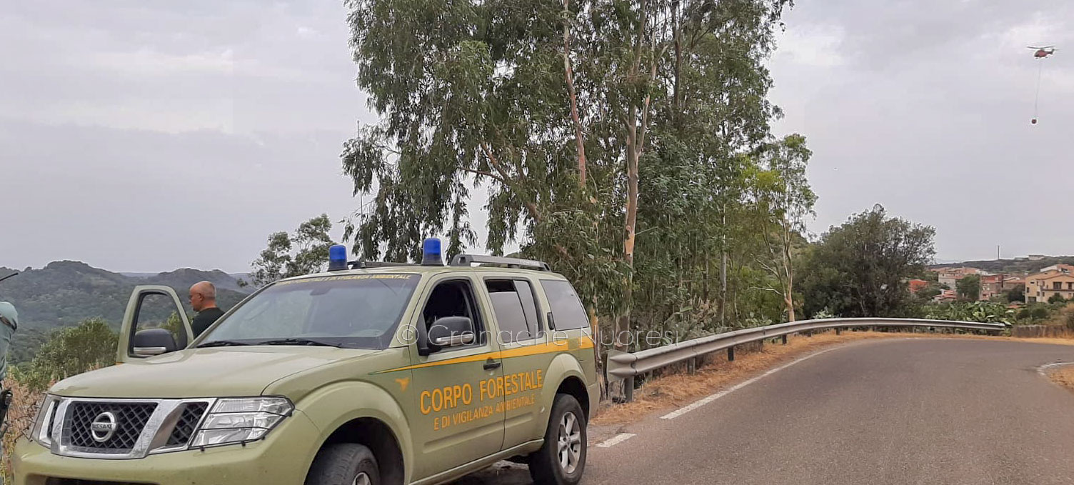 Incendio nel Montiferru. La commissione Pari opportunità esprime solidarietà