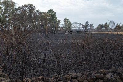 Alcune serre andate distrutte nel Montiferru (foto S.Novellu)