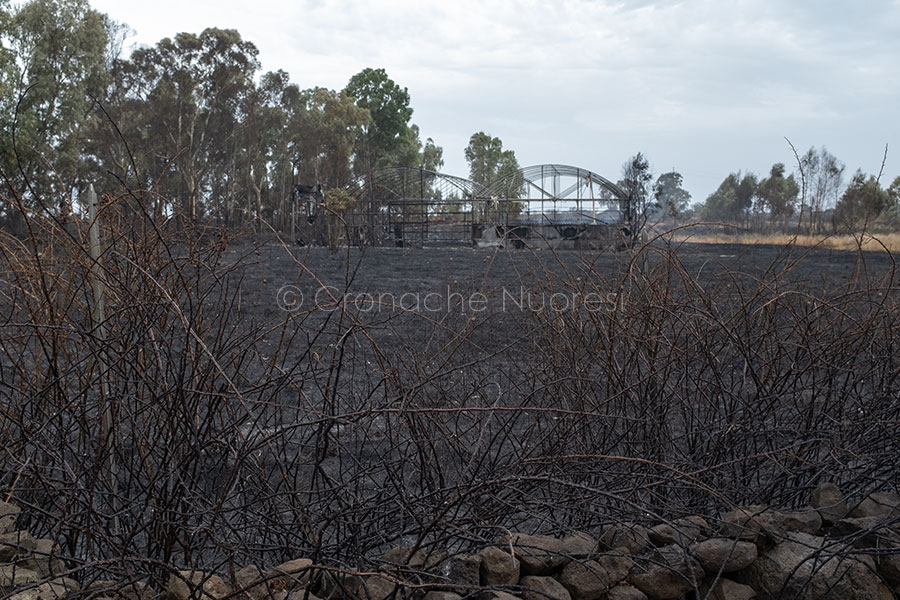 20 milioni dalla RAS per danni dell’incendio nel Montiferru e altri ristori