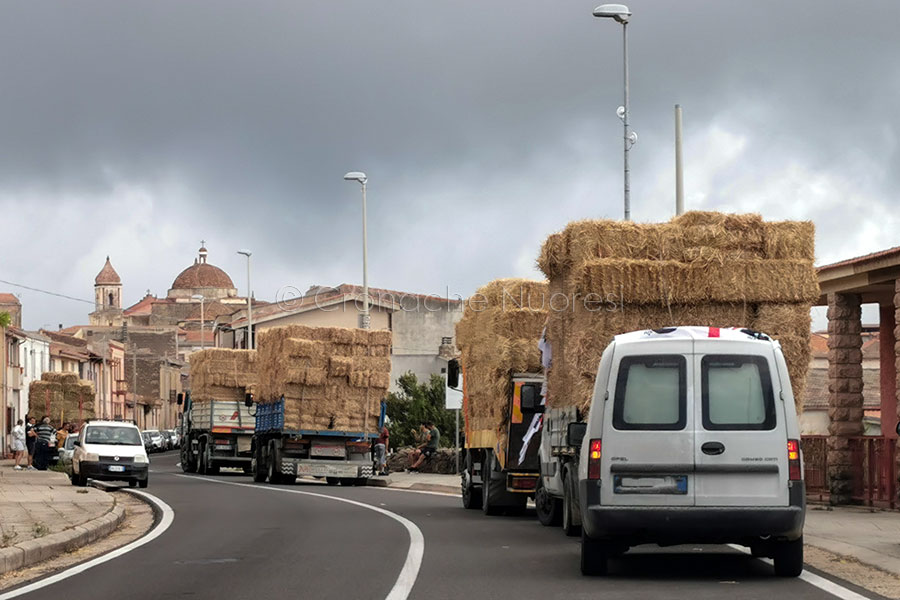 Rogo nel Montiferru: richieste per decine di milioni di euro per i danni, ma non prima di Ottobre