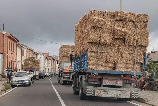 Coda di camion carichi di foraggio a Tresnuraghes (foto S.Novellu)