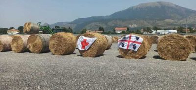 Il foraggio donato dalla Croce Rossa