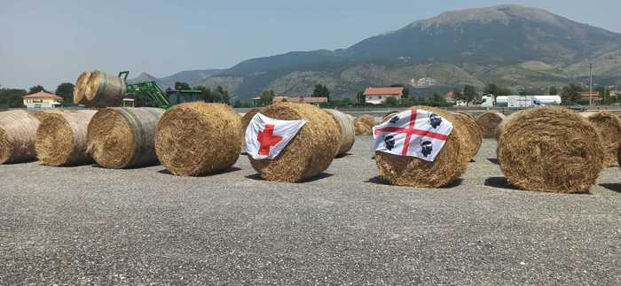 Arrivano nel Montiferru 15 tir della Croce Rossa carichi di foraggio