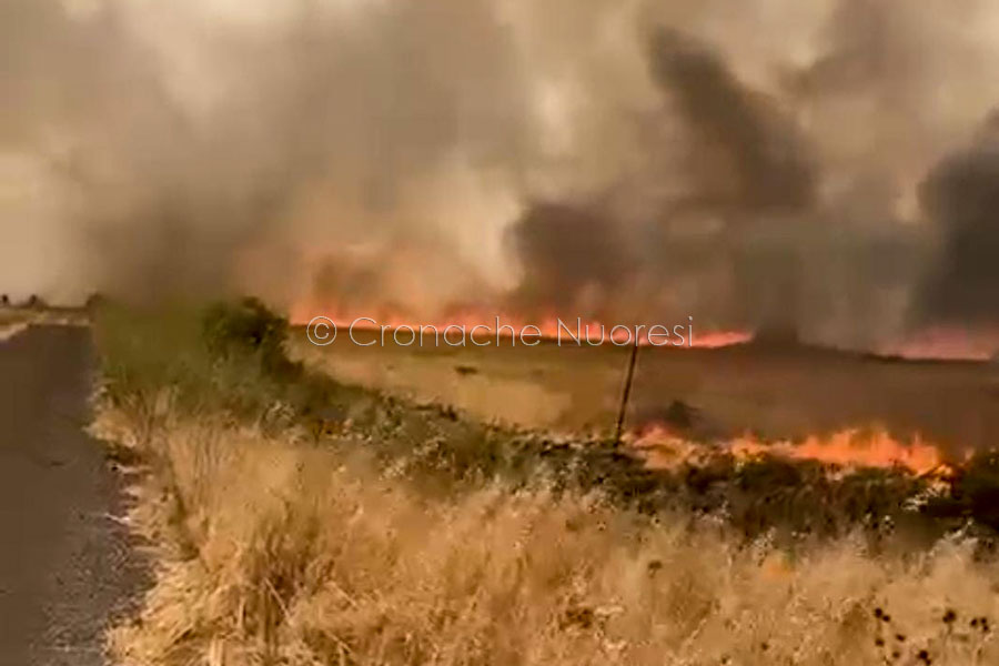 Maxi incendio nelle campagne di Borore: in azione tre elicotteri – VIDEO