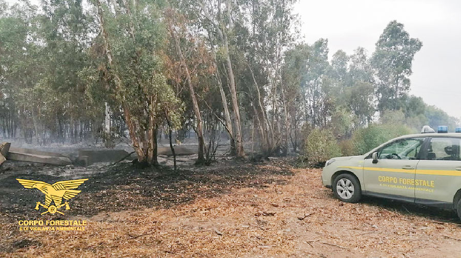 56enne sorpreso ad appiccare un incendio: arrestato dalla Forestale