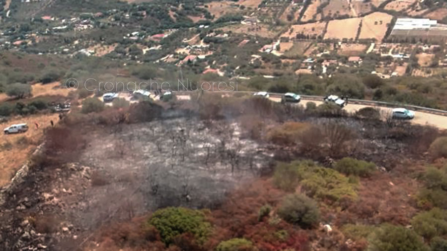 Undici incendi oggi in Sardegna: a Olbia e Fonni in campo anche i mezzi aerei